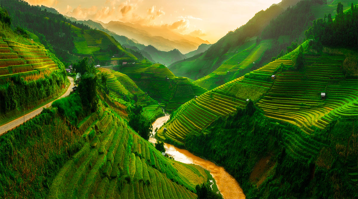 Người Việt là một sắc dân lạ lùng